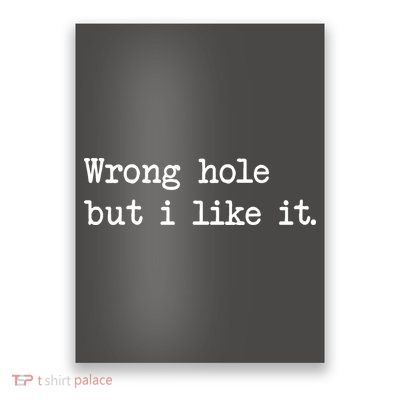 Wrong Hole But I Like It Funny Sayings Adult Humor Poster