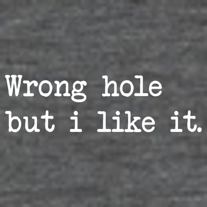 Wrong Hole But I Like It Funny Sayings Adult Humor Poster