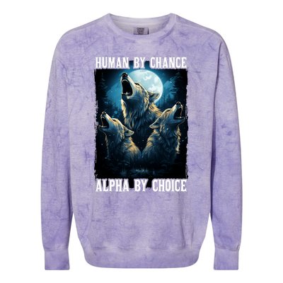 Wolf Human By Chance Alpha By Choice Colorblast Crewneck Sweatshirt