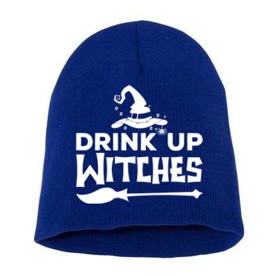 Witch Halloween Costume Up Witches Alcohol Gift Short Acrylic Beanie