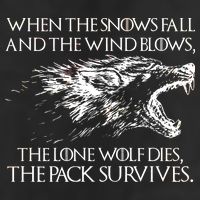 When The Snows Fall The Lone Wolf Dies But the Pack Survives Logo Adult Drive Performance Visor