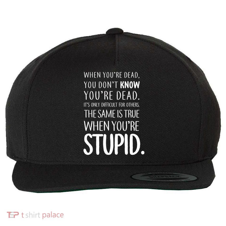 When You're Stupid Funny Statement Wool Snapback Cap