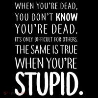 When You're Stupid Funny Statement Wool Snapback Cap