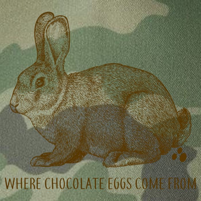 Where Chocolate Eggs Come From Legacy Tie Dye Trucker Hat