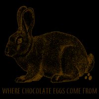 Where Chocolate Eggs Come From Backpack
