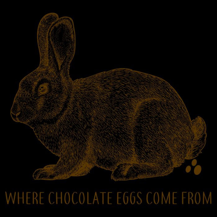 Where Chocolate Eggs Come From Backpack