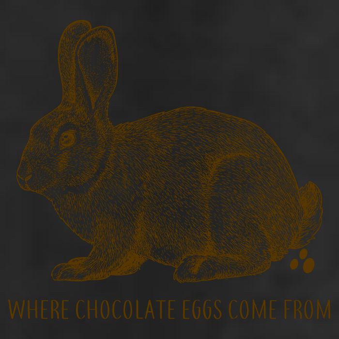 Where Chocolate Eggs Come From Beanie
