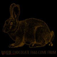 Where Chocolate Eggs Come From Poster