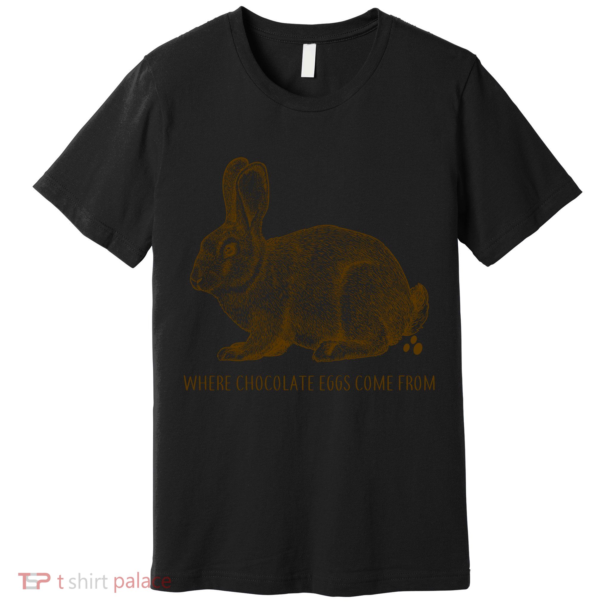 Where Chocolate Eggs Come From Premium T-Shirt