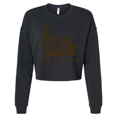 Where Chocolate Eggs Come From Cropped Pullover Crew