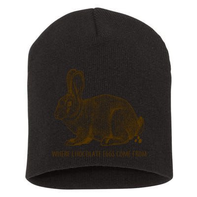 Where Chocolate Eggs Come From Short Acrylic Beanie