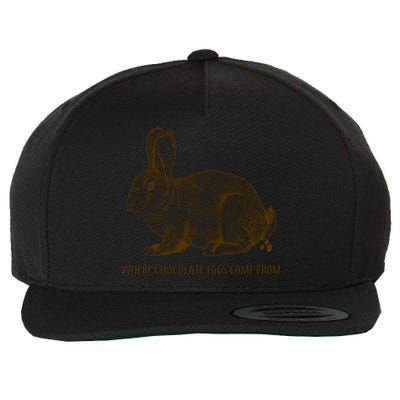 Where Chocolate Eggs Come From Wool Snapback Cap