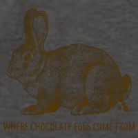 Where Chocolate Eggs Come From Vector Backpack