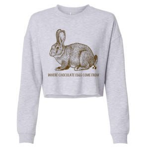 Where Chocolate Eggs Come From Cropped Pullover Crew