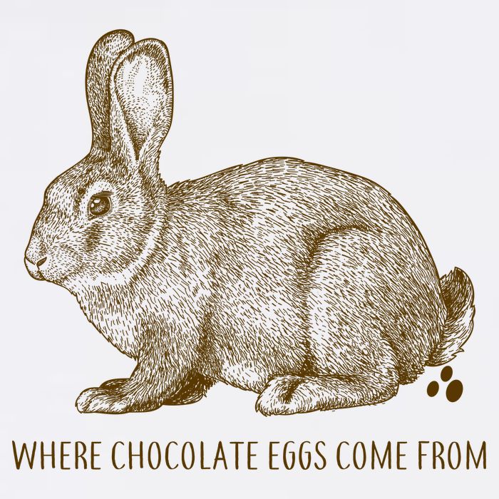 Where Chocolate Eggs Come From Garment-Dyed Sweatshirt