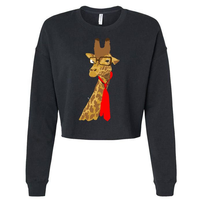 Where Would a Giraffe Wear a Tie? - Red Neck Tie Cropped Pullover Crew