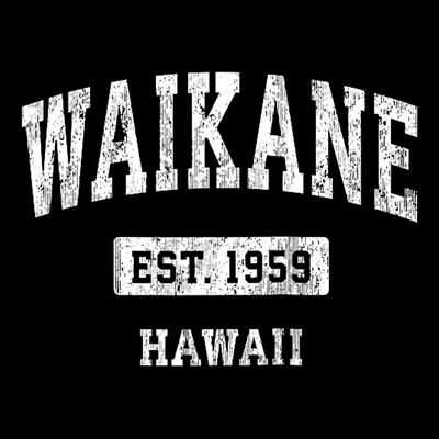 Waikane Hawaii Hi Vintage Sports Established T-Shirt