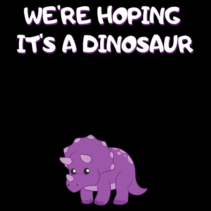 We're Hoping It's A Dinosaur Funny Pregnancy City Backpack