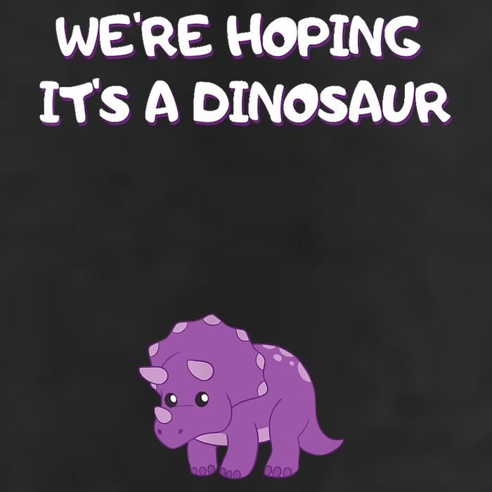 We're Hoping It's A Dinosaur Funny Pregnancy Adult Drive Performance Visor