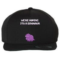We're Hoping It's A Dinosaur Funny Pregnancy Wool Snapback Cap