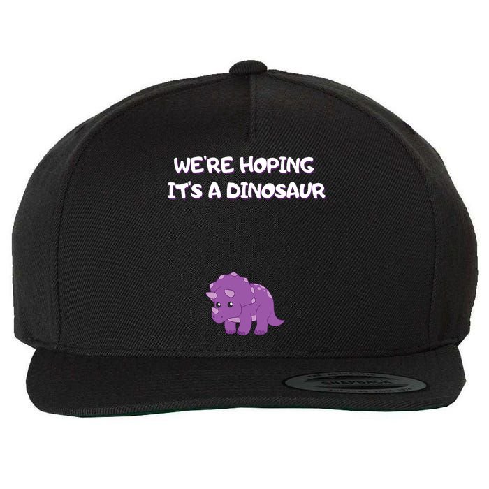 We're Hoping It's A Dinosaur Funny Pregnancy Wool Snapback Cap