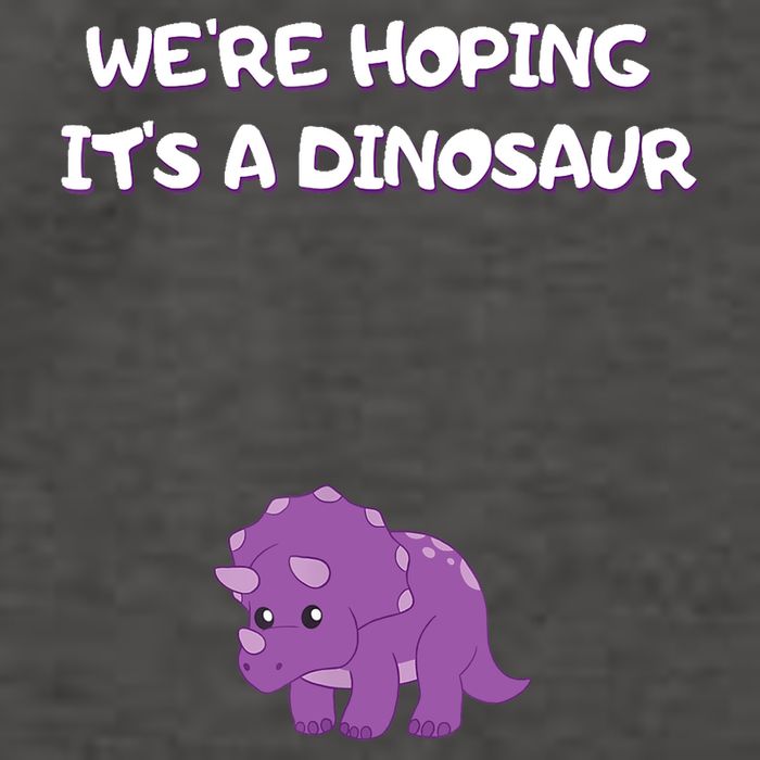 We're Hoping It's A Dinosaur Funny Pregnancy Vector Backpack
