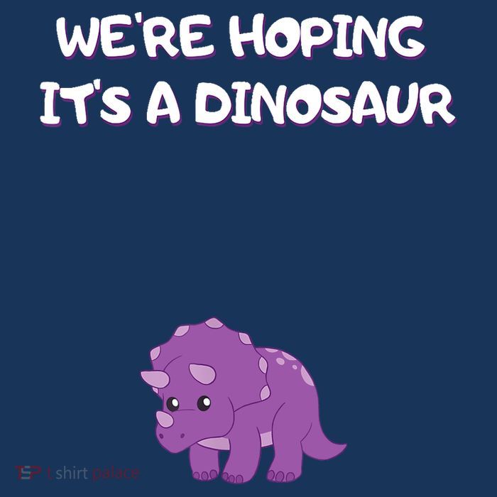 We're Hoping It's A Dinosaur Funny Pregnancy Bucket Hat