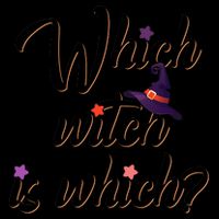 Which Witch Is Which? 16oz Travel Tumbler