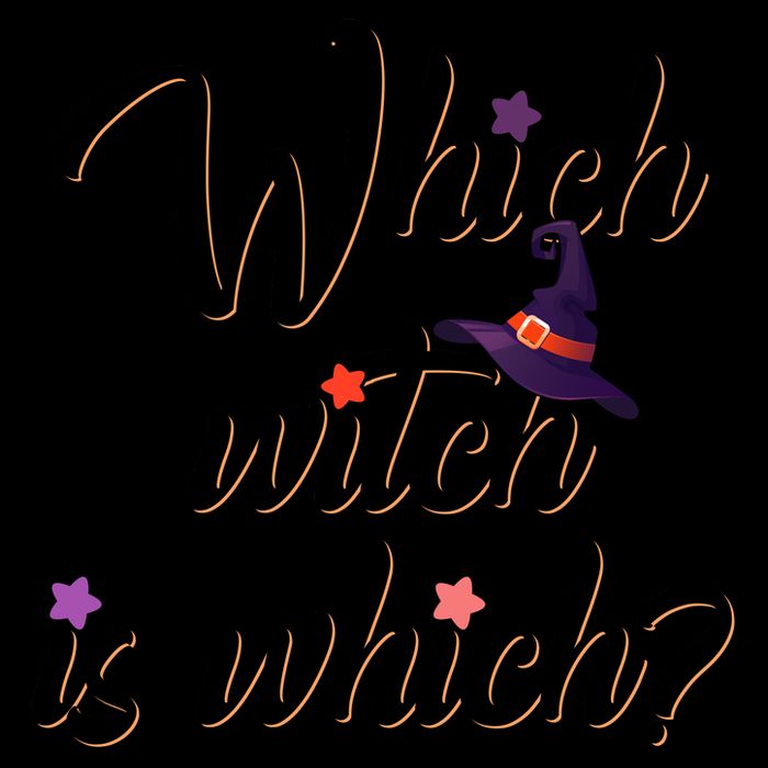 Which Witch Is Which? 16oz Travel Tumbler