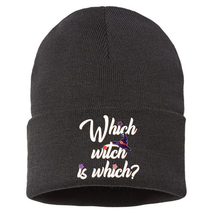 Which Witch Is Which? Sustainable Knit Beanie