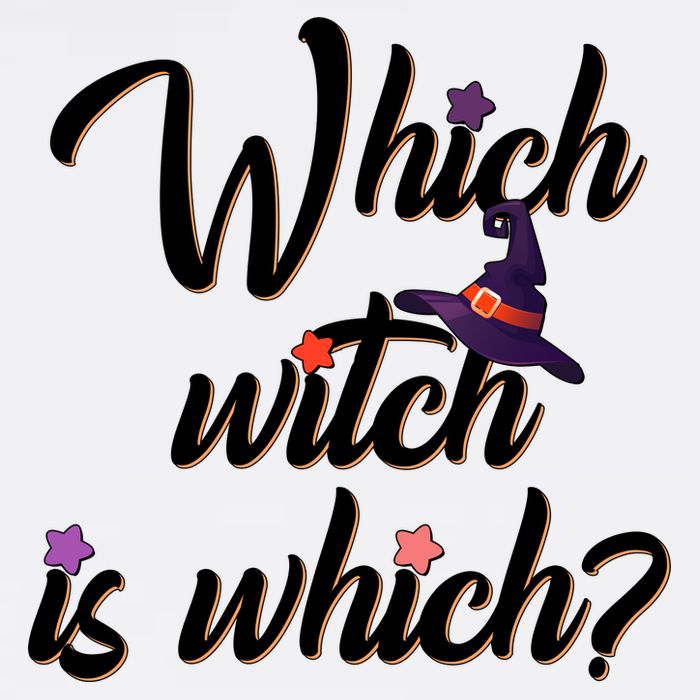 Which Witch Is Which? Garment-Dyed Sweatshirt