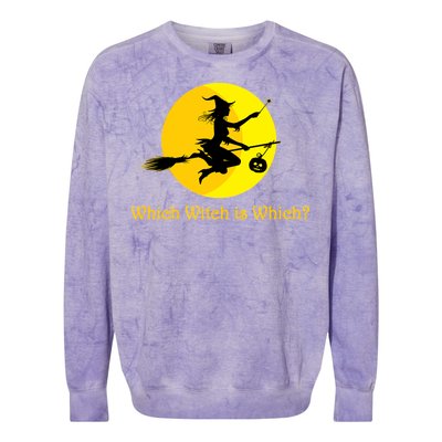 Which Witch is Which? Funny Halloween Colorblast Crewneck Sweatshirt