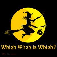 Which Witch is Which? Funny Halloween Sustainable Bucket Hat