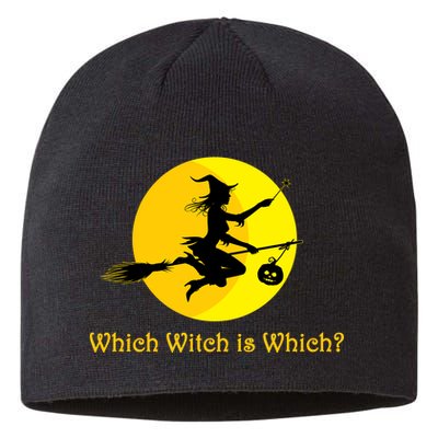 Which Witch is Which? Funny Halloween Sustainable Beanie