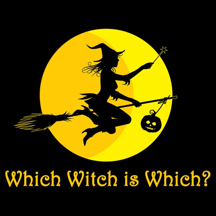 Which Witch is Which? Funny Halloween Visor