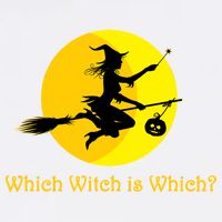 Which Witch is Which? Funny Halloween Garment-Dyed Sweatshirt