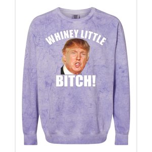 Whiney Little Bitch! Trump Hillary For President Colorblast Crewneck Sweatshirt