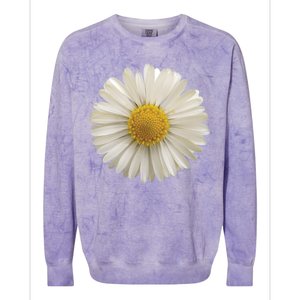 White Daisy Colorblast Crewneck Sweatshirt