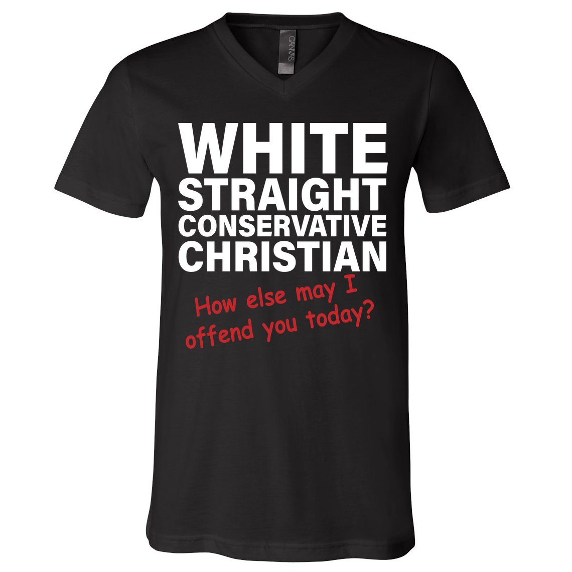White Straight Conservative Christian V-Neck T-Shirt