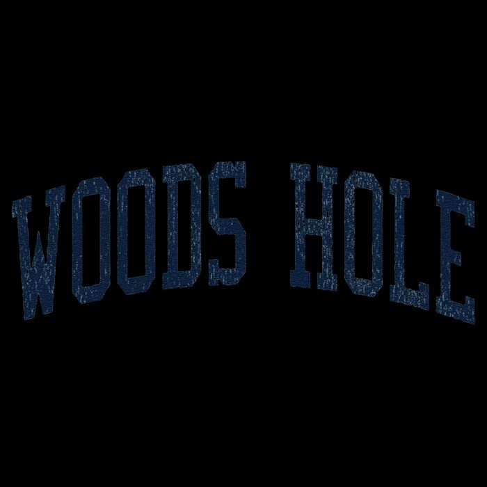 Woods Hole Ma Vintage Athletic Sports Jsn2 Print Backpack