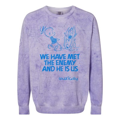 We Have Met The Enemy And He Is Us Colorblast Crewneck Sweatshirt