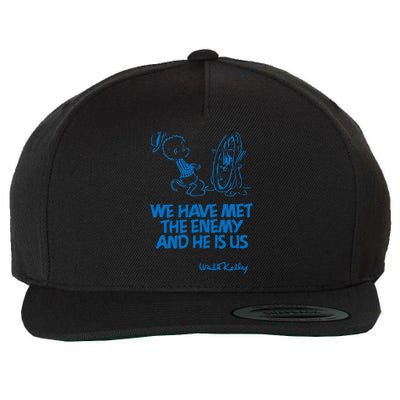 We Have Met The Enemy And He Is Us Wool Snapback Cap