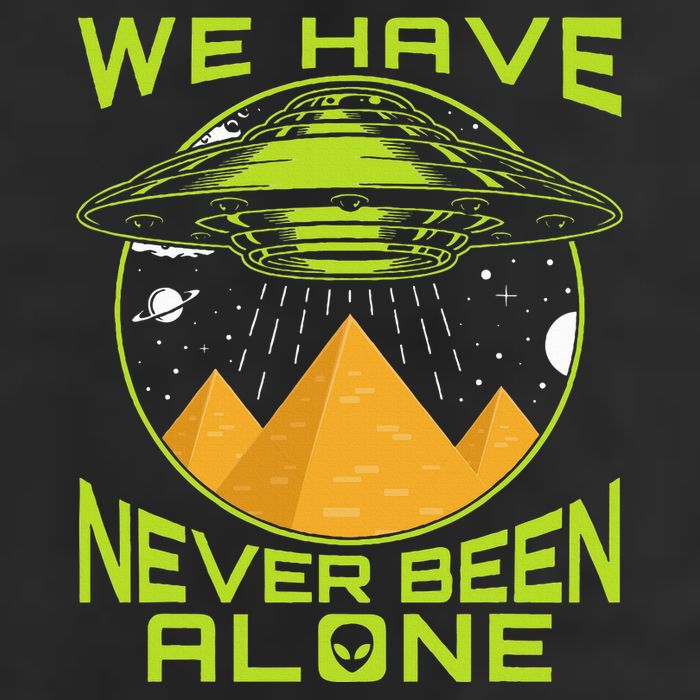 We Have Never Been Alone Ancient Aliens Egypt 11oz C Handle Ceramic Mug