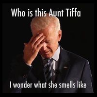 Who is Aunt Tiffa Joe Biden Funny Meme Sustainable Knit Beanie