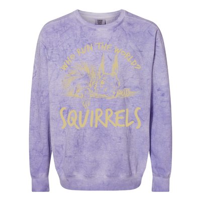  Who Run The World Squirrels Colorblast Crewneck Sweatshirt