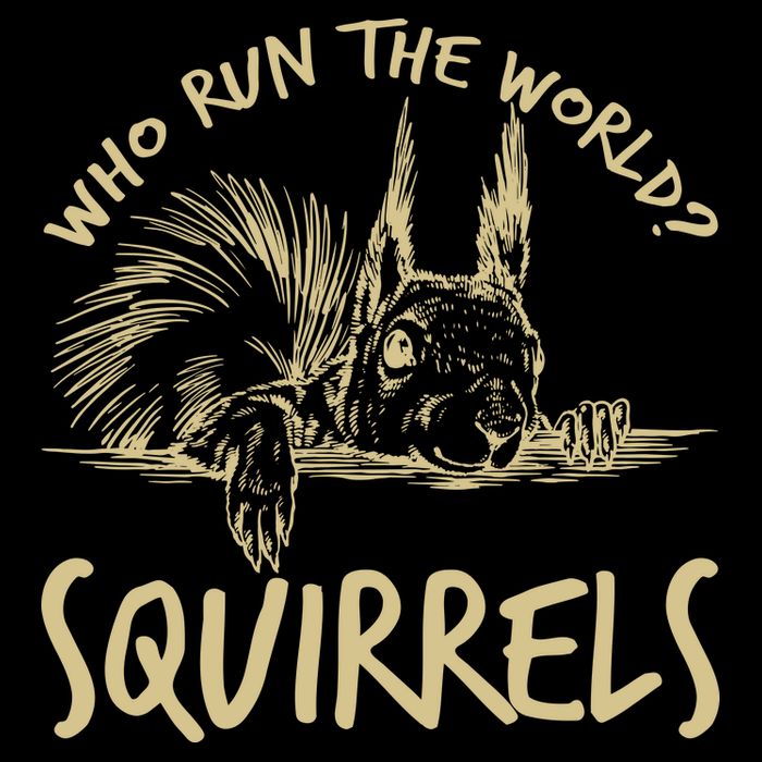  Who Run The World Squirrels Toddler T-Shirt