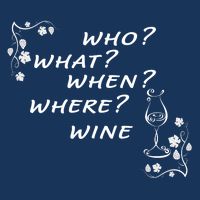 Who What When Where Wine Infant Baby Jersey Bodysuit