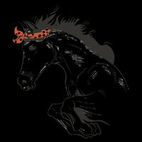 Wild Horse Running Sustainable Bucket Hat