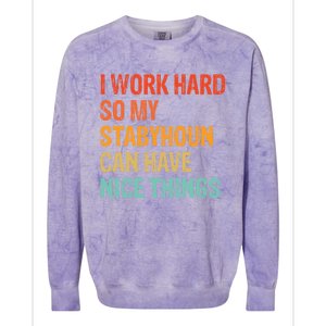 Work Hard So My Stabyhoun Can Have Nice Things Gift Colorblast Crewneck Sweatshirt