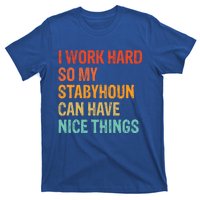 Work Hard So My Stabyhoun Can Have Nice Things Gift T-Shirt